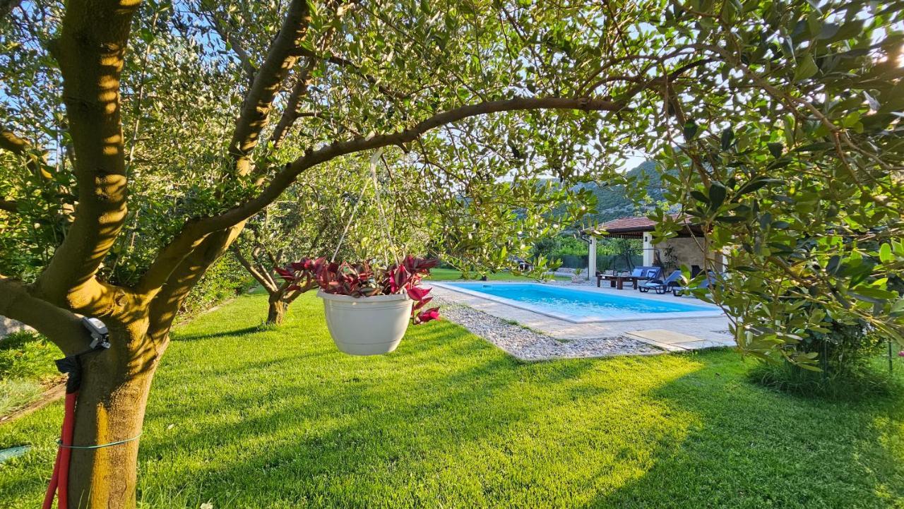 מוסטר Holiday Home Natura With Private Pool מראה חיצוני תמונה