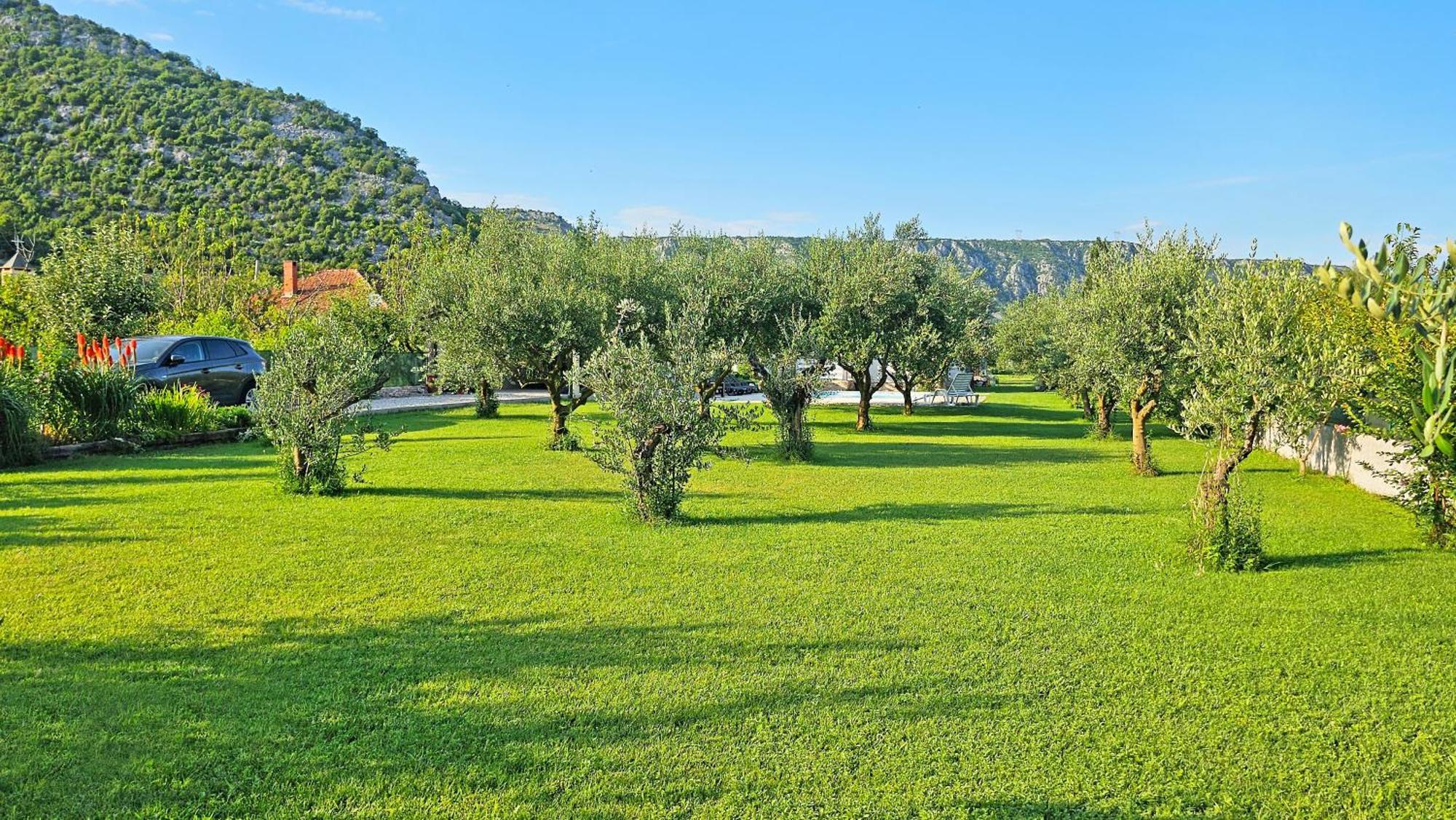 מוסטר Holiday Home Natura With Private Pool מראה חיצוני תמונה