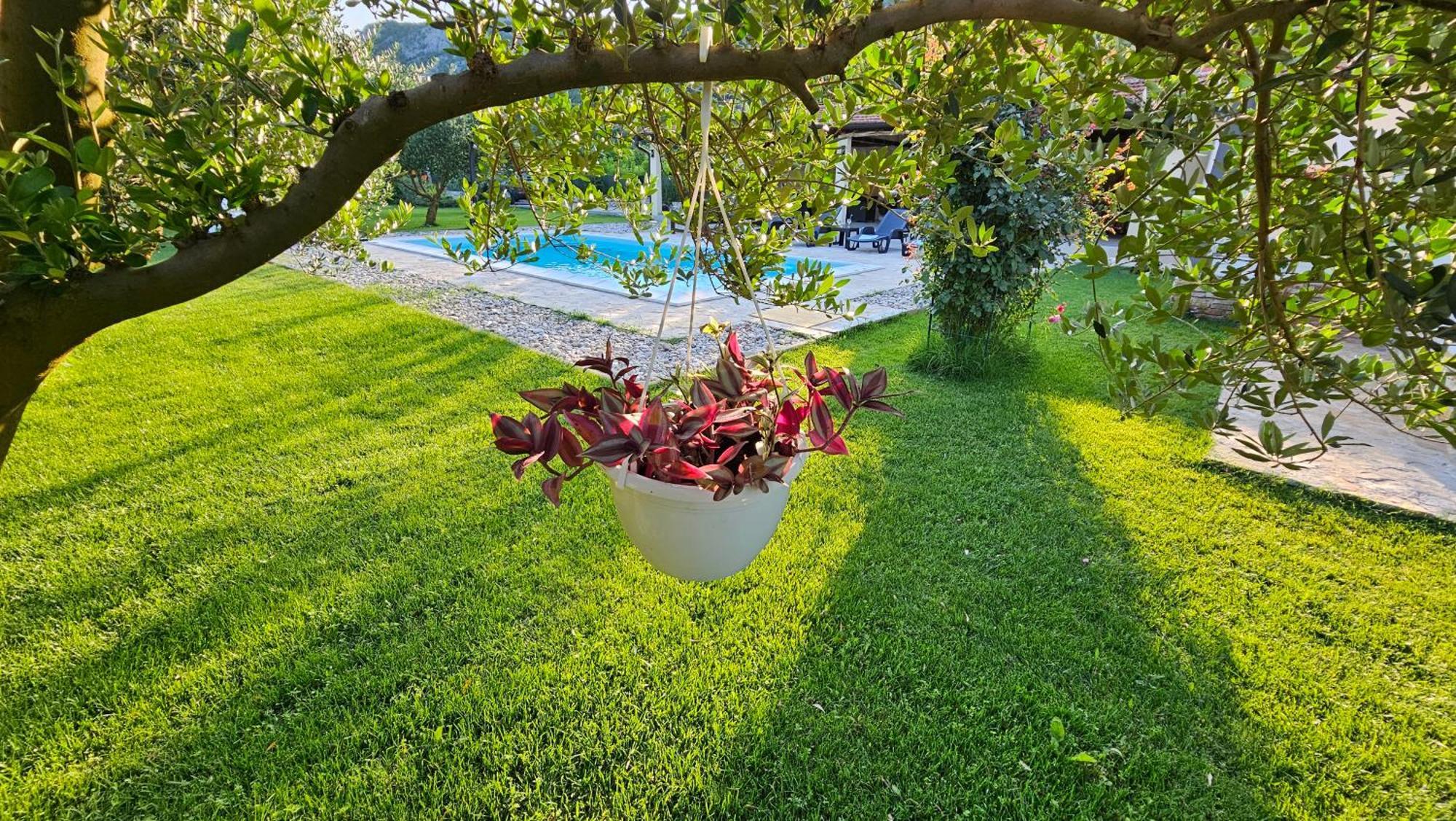 מוסטר Holiday Home Natura With Private Pool מראה חיצוני תמונה